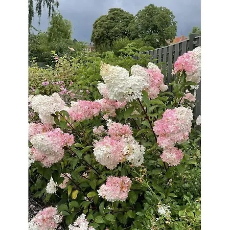 An Der Vogtei Comfortable * Lübeck